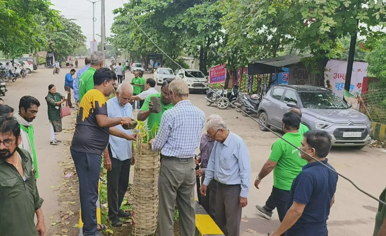 ग्रीन आर्मी ने 200 पौधे रोपकर बनाया नीम कॉरीडोर