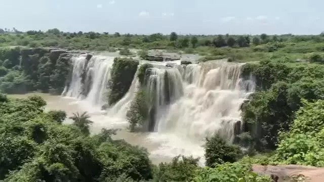 Palnadu में आश्चर्यजनक एथिपोथला झरने की खोज करें