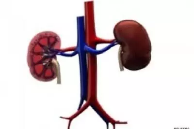 Kidney: बच्चों की किडनी ब्लॉक होने का जाने संकेत