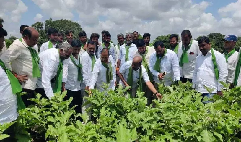 Sangareddy में प्रस्तावित फार्मा हब का किसानों ने किया विरोध