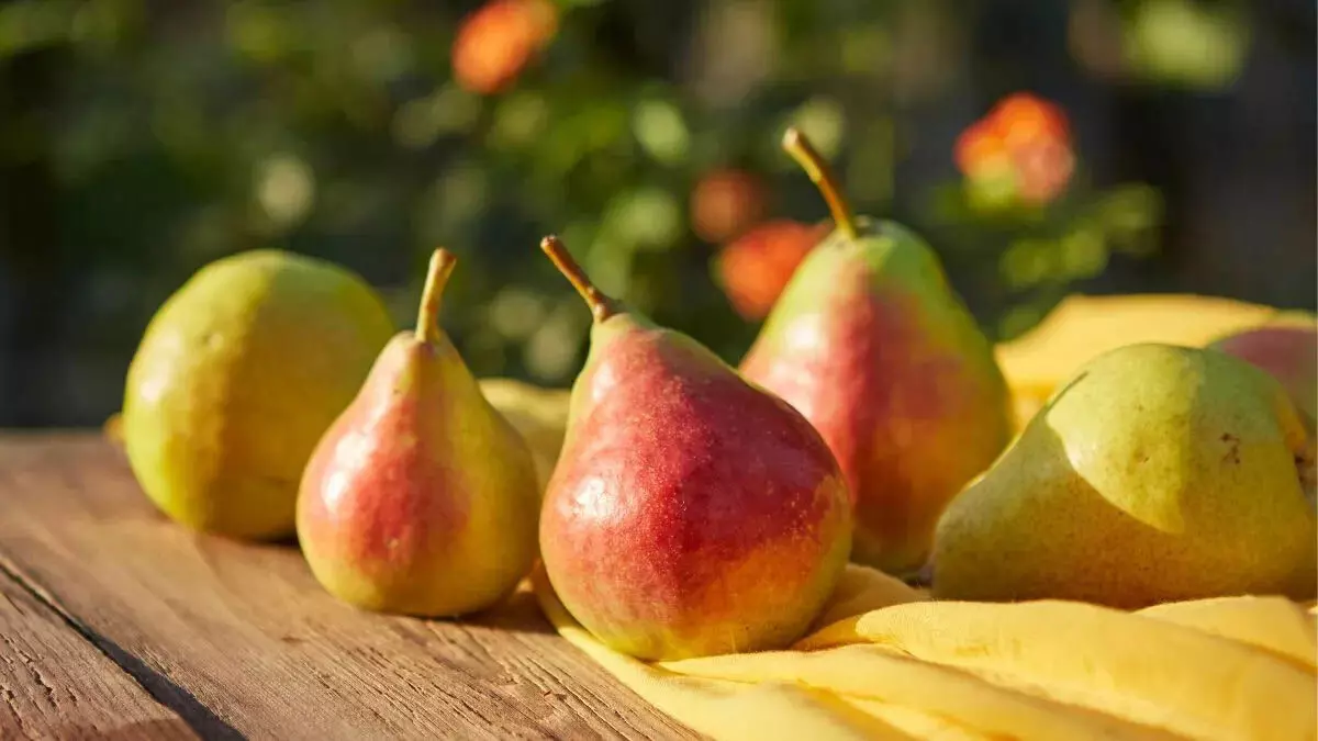 Pears के आश्चर्यजनक स्वास्थ्य लाभ