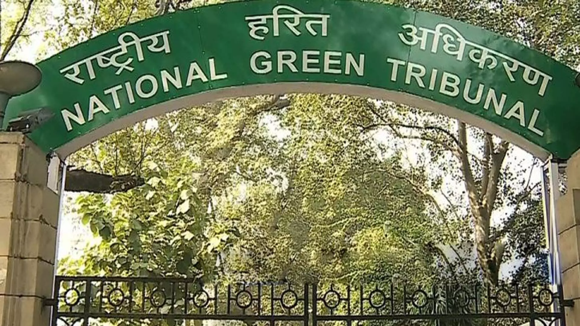 NGT ने सेराजुद्दीन एंड कंपनी पर 6 करोड़ रुपये का जुर्माना लगाया