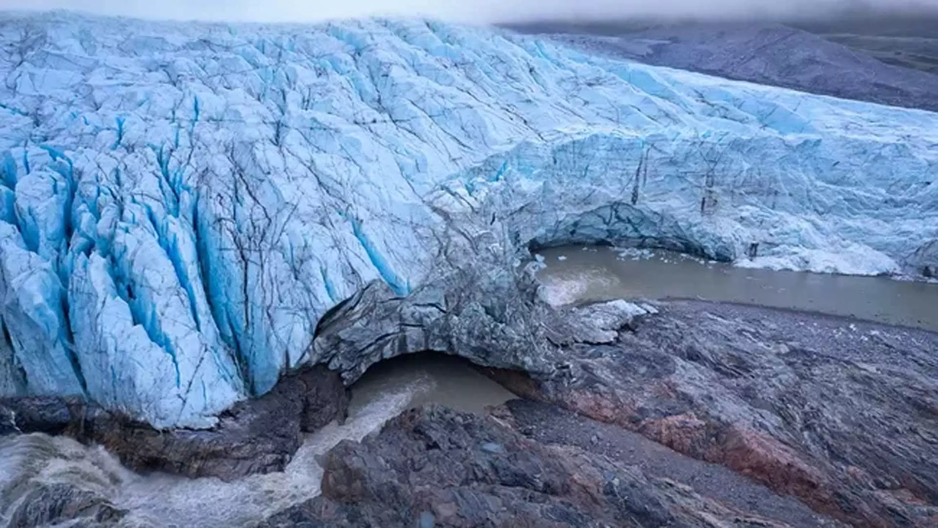 Greenland पहले फूलों से ढका हरा-भरा टुंड्रा था, जीवाश्मों से हुआ खुलासा