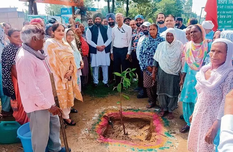 Jalandhar: कैबिनेट मंत्री ने राष्ट्रीय राजमार्ग पर पौधारोपण अभियान का शुभारंभ किया