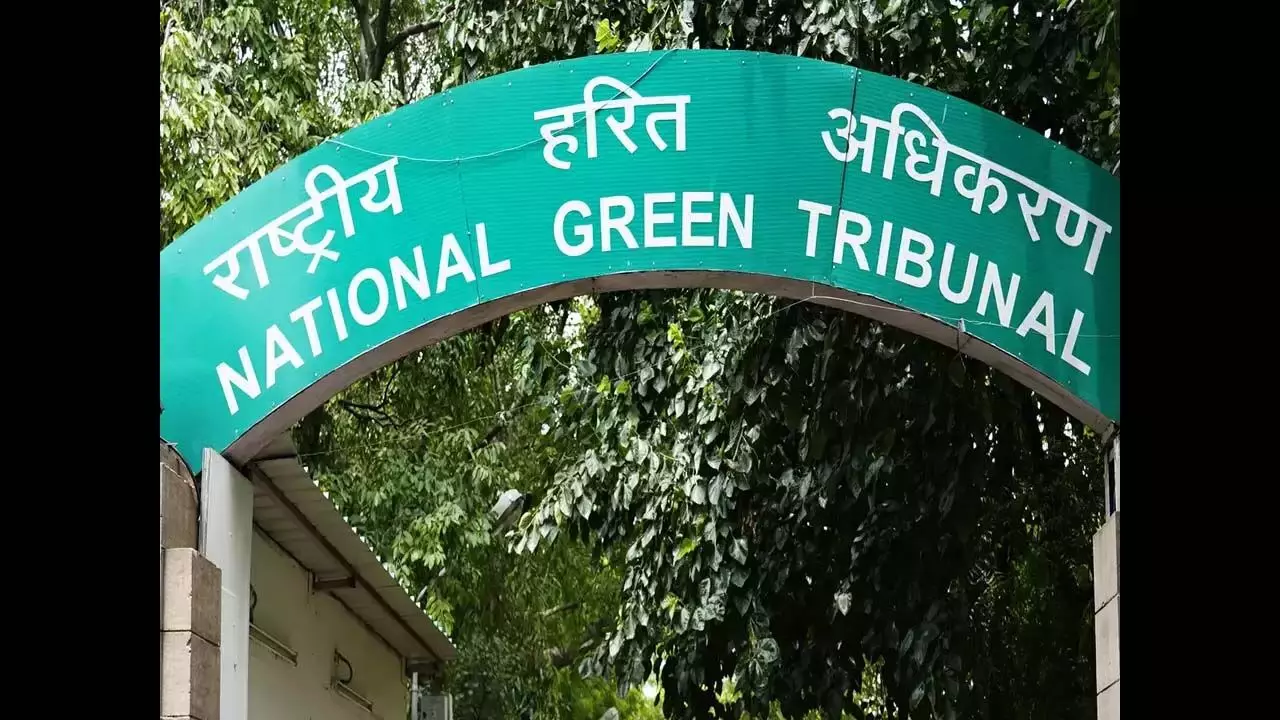 NGT ने पुल के संरेखण में बदलाव के लिए स्थानीय लोगों की याचिका की स्वीकार