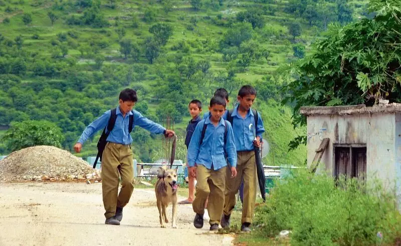 Himachal : सर्वेक्षण में पाया गया कि केवल 58% किशोर ही शारीरिक गतिविधियों में संलग्न