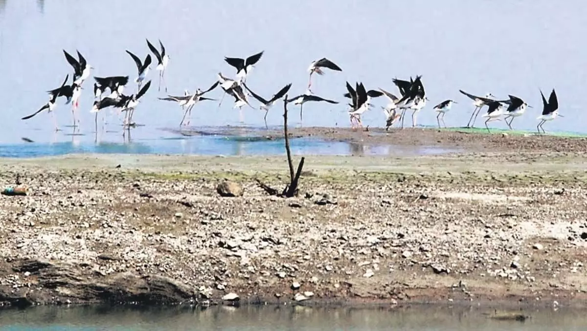 Two more wetlands added : तमिलनाडु कुल 18 स्थलों के साथ रामसर सूची में शीर्ष पर