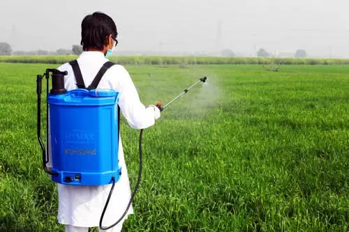 Sprayking एग्रो इक्विपमेंट Q1 नतीजे: लाभ में कितने की वार्षिक वृद्धि?