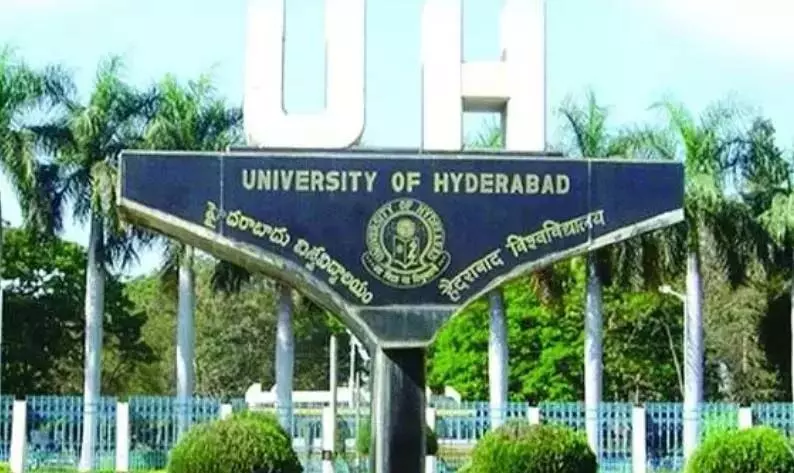 Hyderabad के विशेषज्ञों ने कीटनाशकों के खतरों से निपटने के लिए शहरी खेती की वकालत की