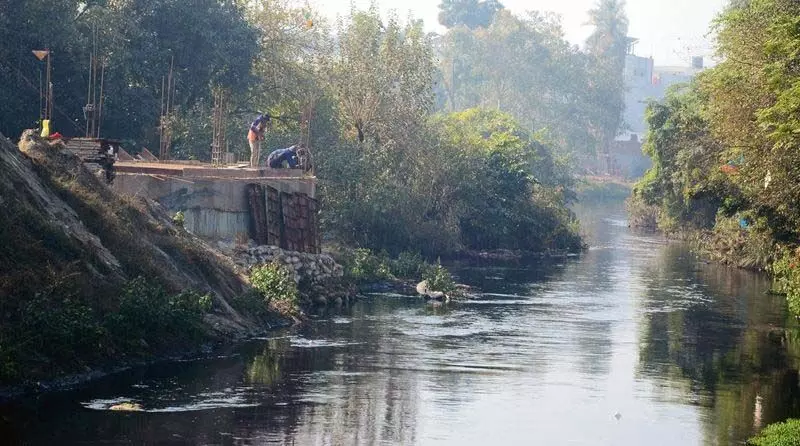 Ludhiana: बुद्ध नाले का पानी मानकों के अनुरूप नहीं