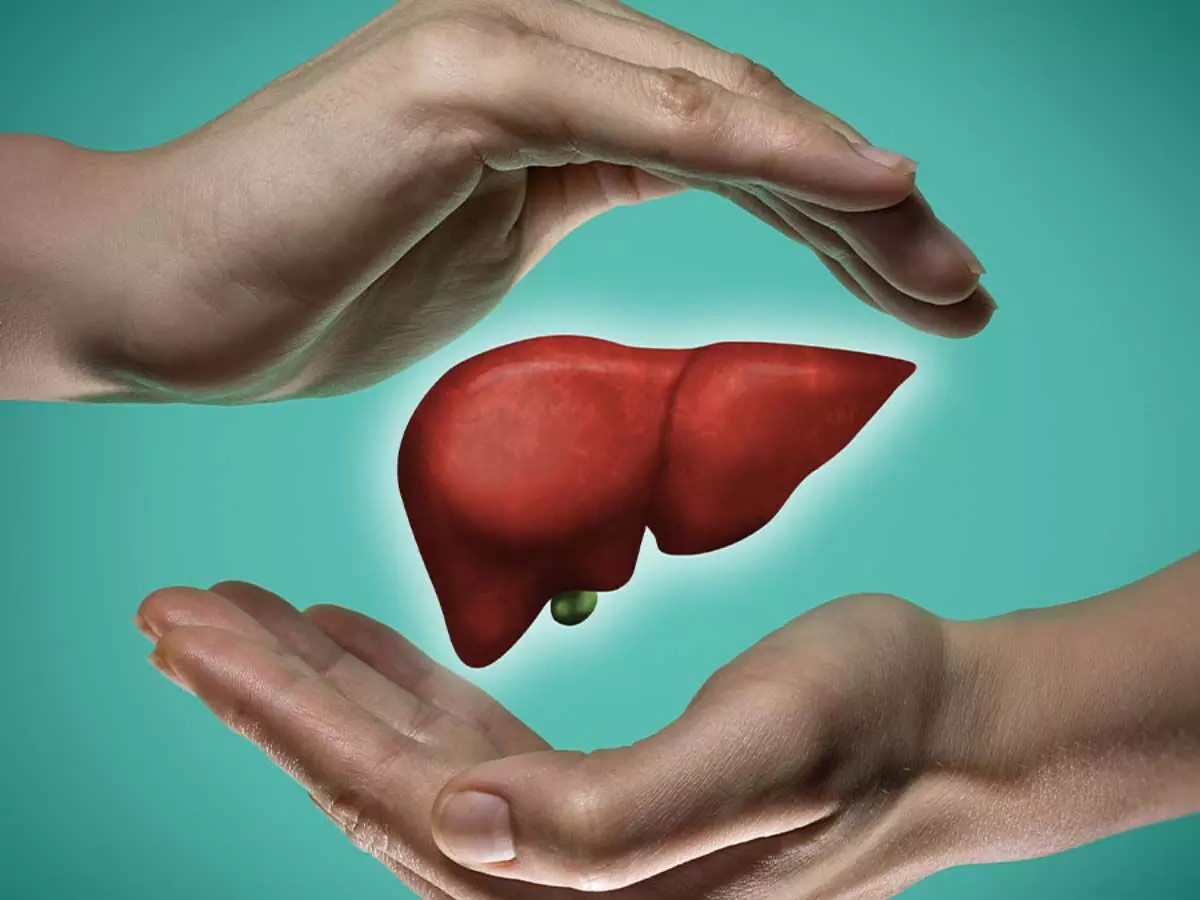 Liver को हेल्दी रखने के लिए वरदान है ये बूटियां