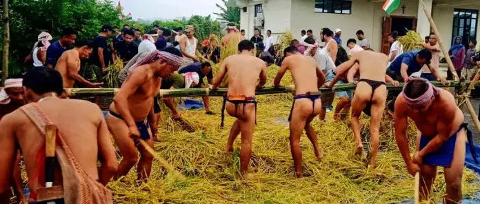 Nagaland :  वाई पैटन ने पारंपरिक धान की कटाई में हिस्सा लिया