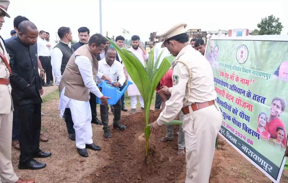 सांसद ने किया एजुकेशन हब गरांजी में पौधा का रोपण