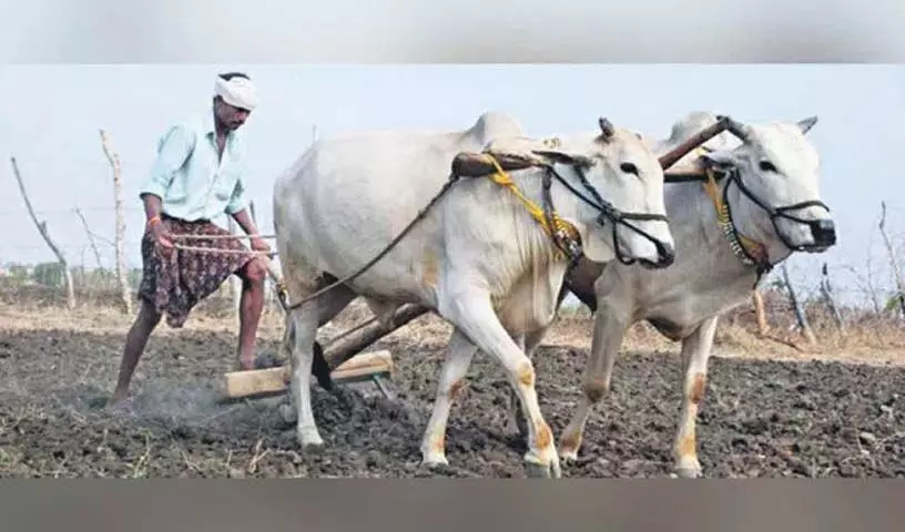 Hyderabad: कृषि मजदूरों को सहायता देने पर कांग्रेस ने अभी तक स्थिति स्पष्ट नहीं की