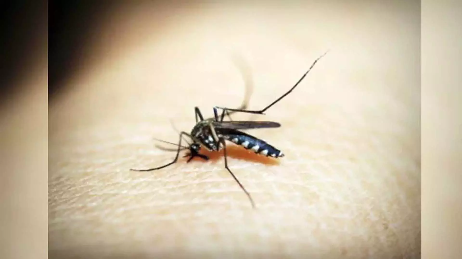 Malaria का पहला टीका गर्भवती महिलाओं को सुरक्षा प्रदान करेगा