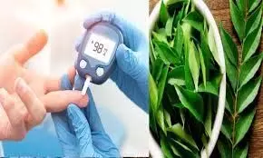 blood sugar: इन पत्तियों के सेवन से , जल्द होगा ब्लड शुगर कंट्रोल