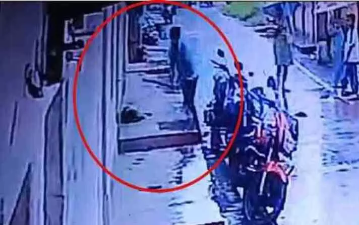 इंसान बना जानवर, बेजुबान को डंडे से पीट-पीटकर उतारा मौत के घाट, CCTV कैमरे में कैद