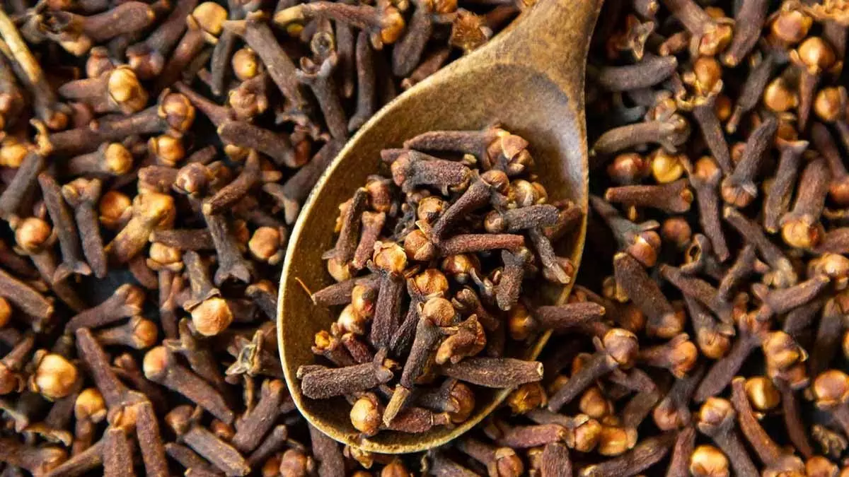 Cloves का अधिक सेवन इन लोगों के लिए हो सकता है नुकसानदायक