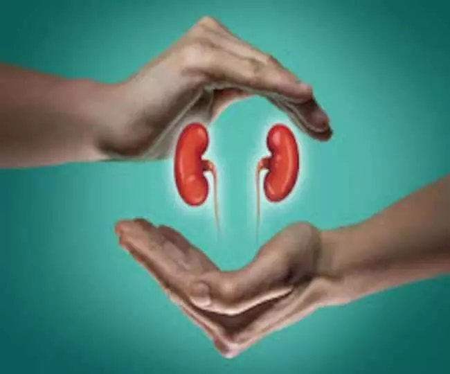 रक्षाबंधन के अवसर पर छोटे भाई ने बहन को दान किया kidney