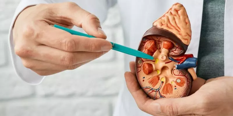 kidney cancer के सूक्ष्म संकेतों और लक्षणों को पहचानना