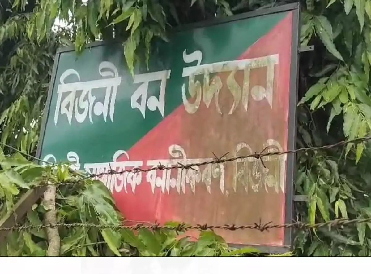 Assam : बिजनी में युवा गिरोह द्वारा जोड़े पर हमला