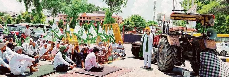 Ferozepur के किसान कंटीली बाड़ के पार खेती के अधिकार के लिए प्रदर्शन कर रहे