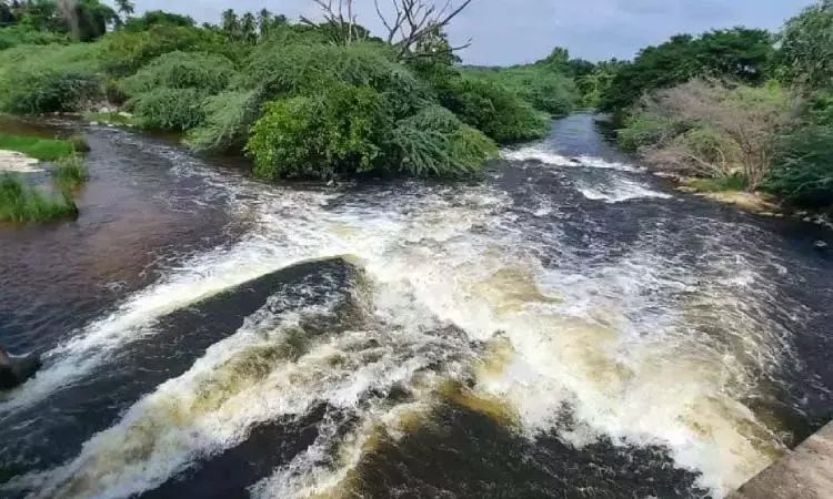 Noyyal में प्रदूषण खतरनाक स्तर पर पहुंचा, किसानों ने तत्काल कार्रवाई की मांग की