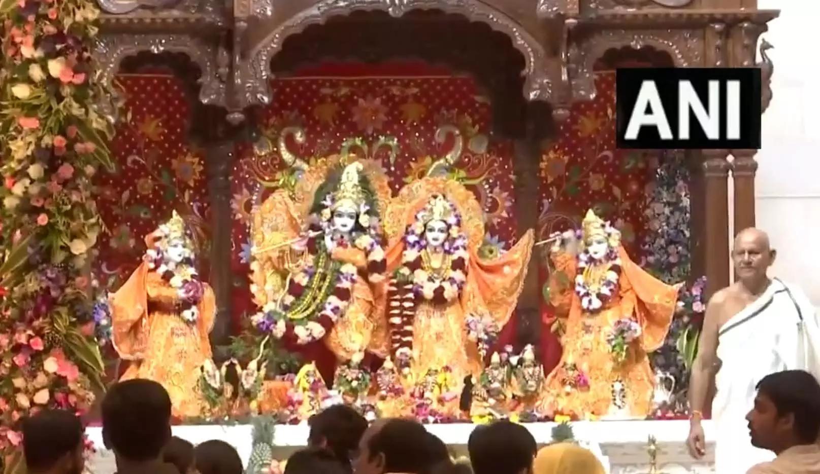 RAIPUR के इस्कॉन मंदिर में लगा भक्तों का तांता, देखें VIDEO...