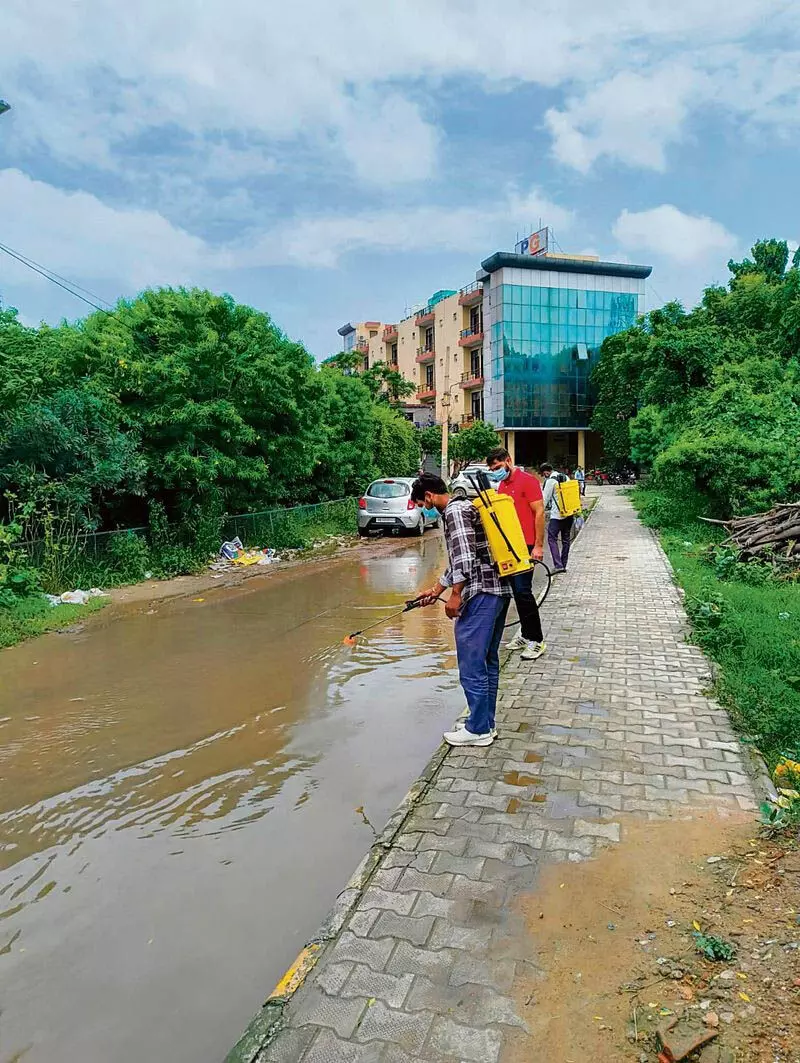 Haryana : गुरुग्राम नगर निगम वेक्टर जनित बीमारियों से निपटने के लिए तैयार