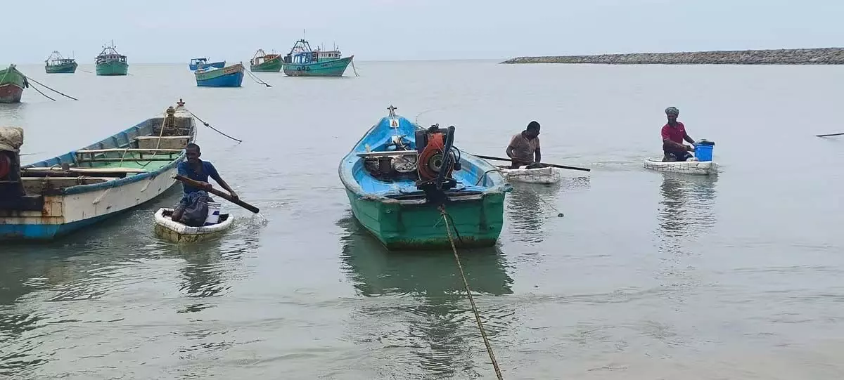 TN : पानी के अंदर कंप्रेसर से ऑक्टोपस का शिकार करना मछुआरों के लिए आजीविका और पारिस्थितिकी के लिए खतरा बन गया