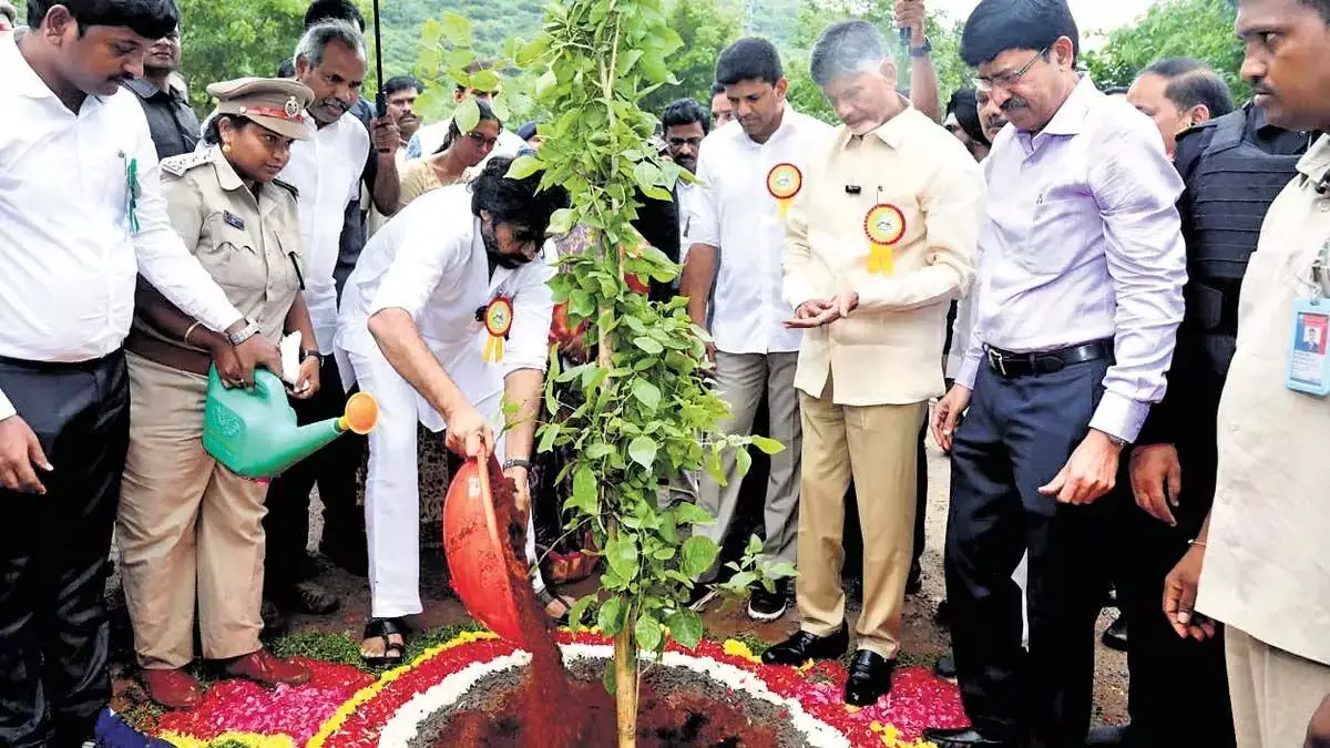 Andhra : राज्य के हरित आवरण को 50 प्रतिशत तक बढ़ाने का सीएम नायडू का आह्वान