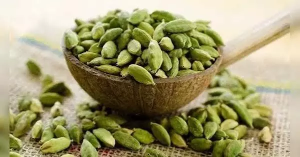 मोटापा कम करने के लिए Cardamom का सेवन कैसे करें? ये तरीके आएंगे आपके काम