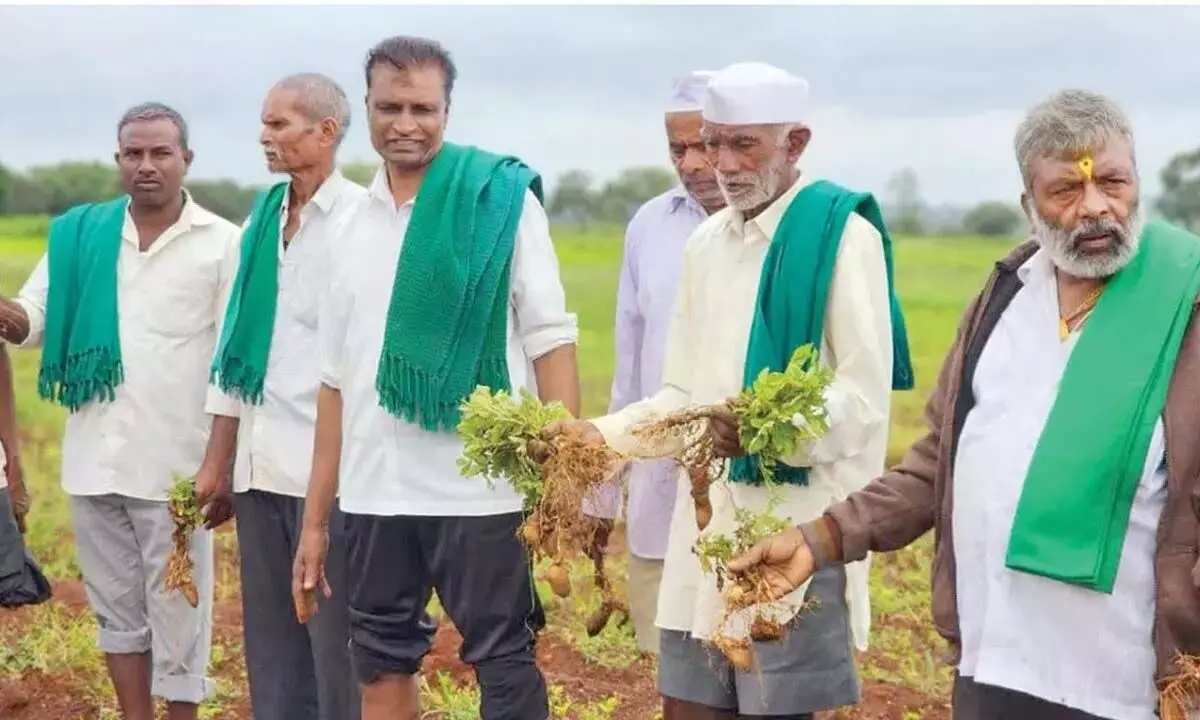 Karanataka: बेलगावी के किसानों को फसल का नुकसान हुआ