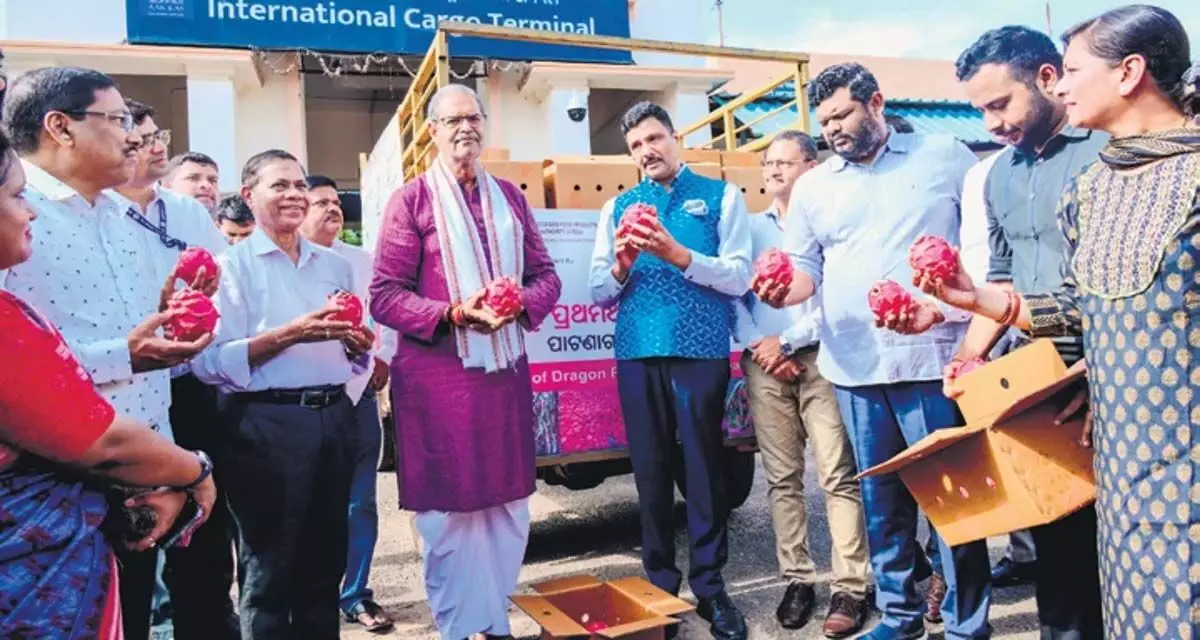 Odisha के कृषि मंत्री के घरेलू उत्पादन वाले ड्रैगन फ्रूट को दुबई का बाजार मिला