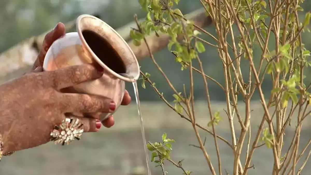 Vishnu Puja के समय करें यह काम,  प्रसन्न होंगे भगवान