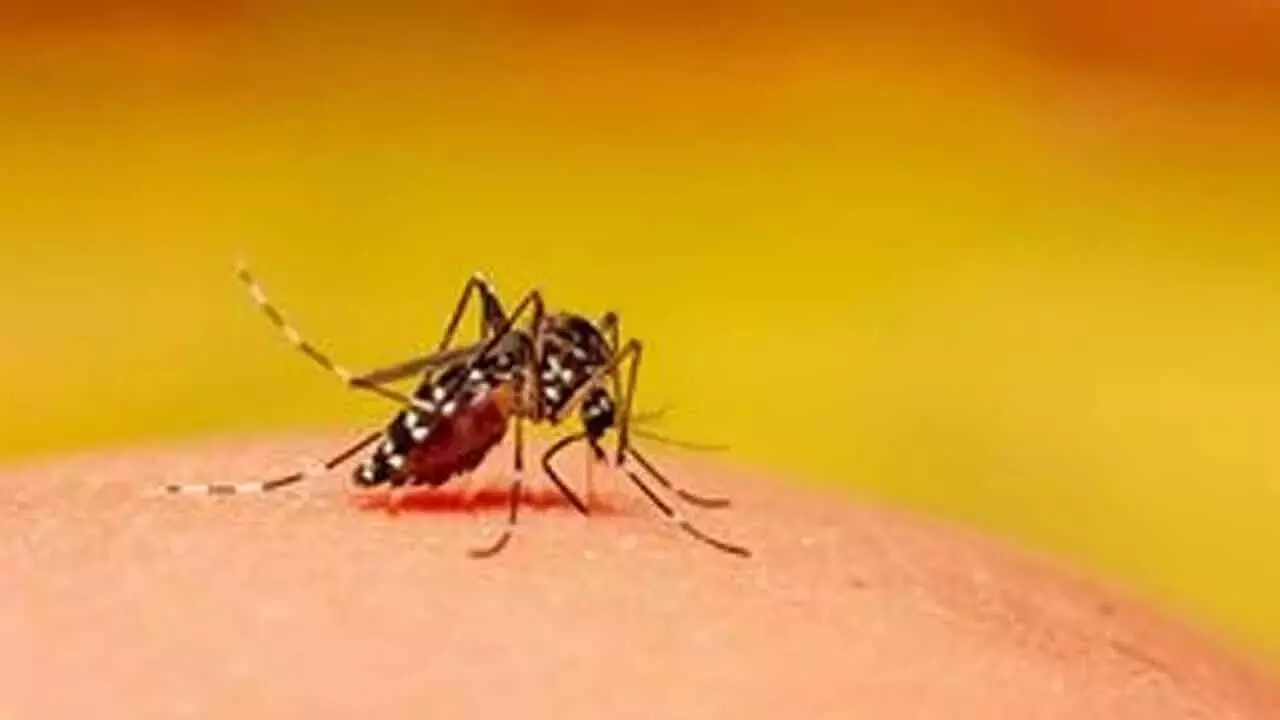 सरकार ने Dengue बुखार को ‘महामारी रोग’ के रूप में अधिसूचित किया