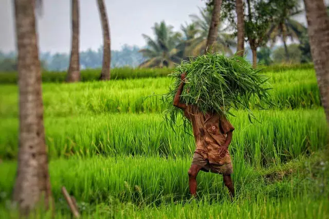 कृषि चुनौतियों से निपटने के लिए Ag-Tech शिखर का आयोजन किया