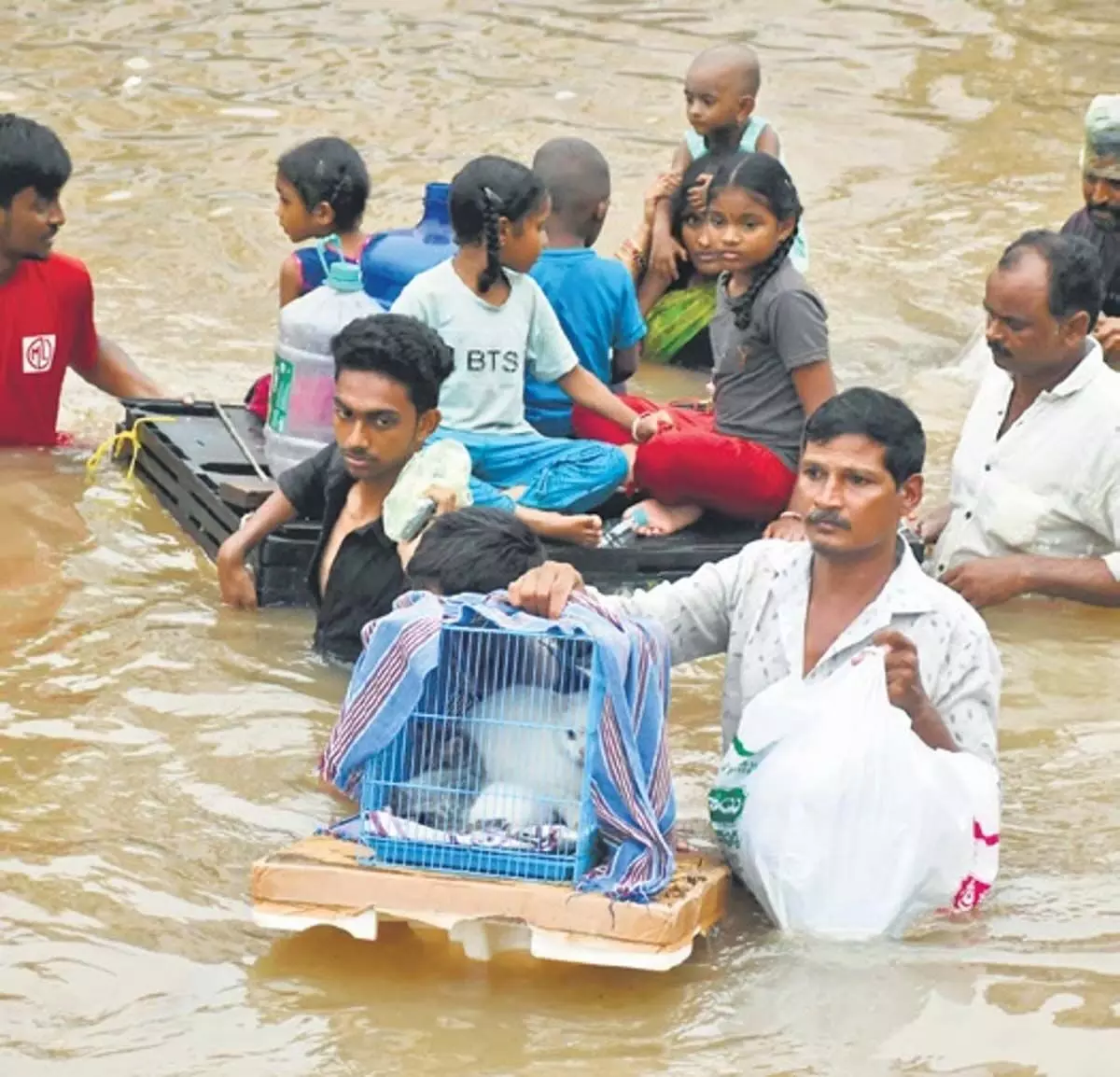 Andhra : बुडामेरु बाढ़ से पशुधन को नुकसान