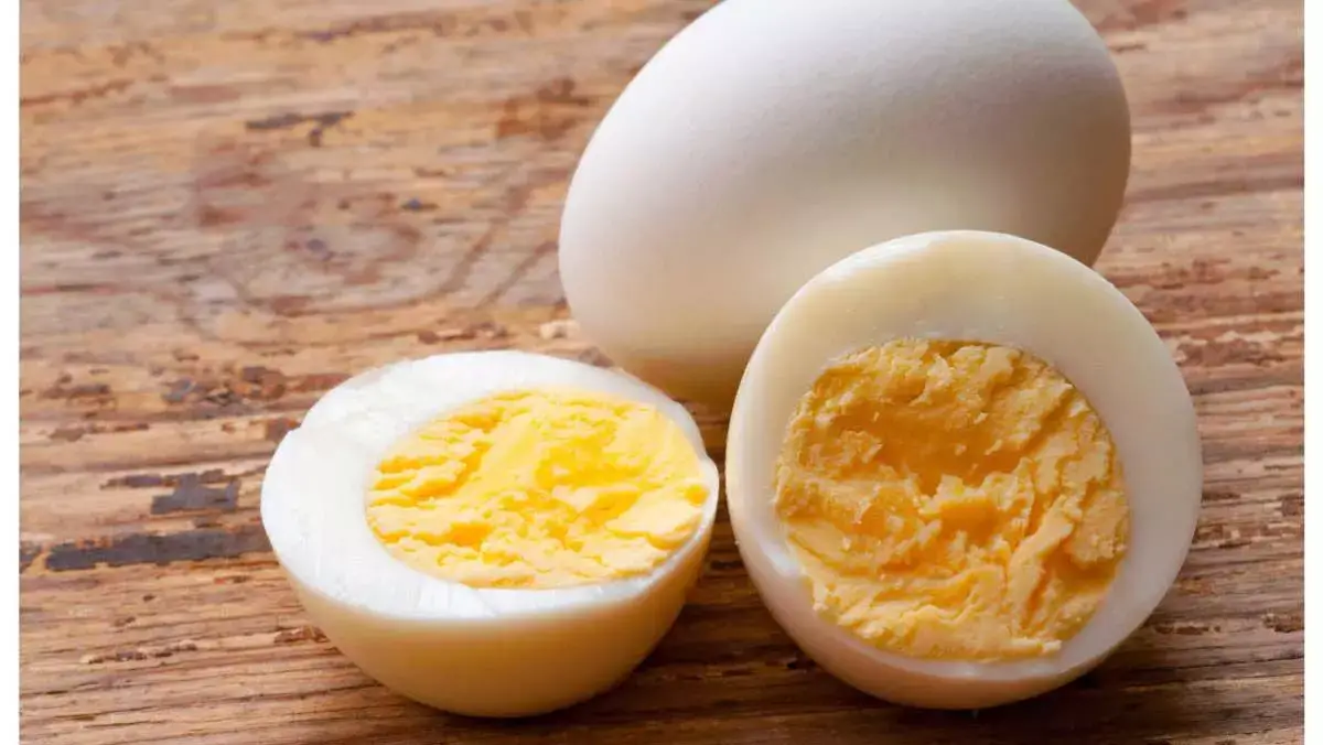 Egg क्या शरीर में इम्युनिटी को बढ़ाता है? जानें इसके फायदे