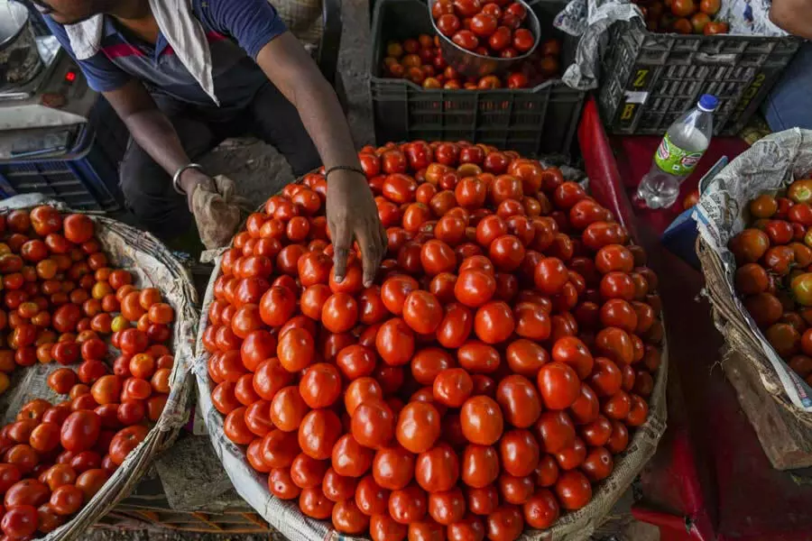 Tomato और पोल्ट्री की कीमतों में गिरावट आई