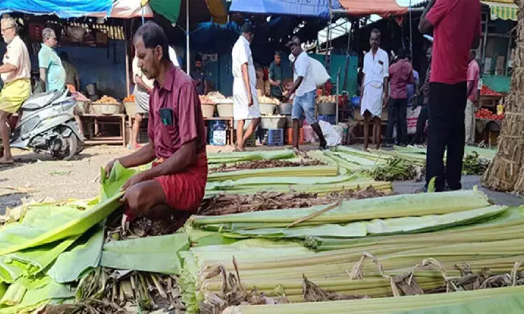 Vinayagar चतुर्थी, सुबह मुहूर्तम पर केले के पत्तों की कीमत बढ़ी