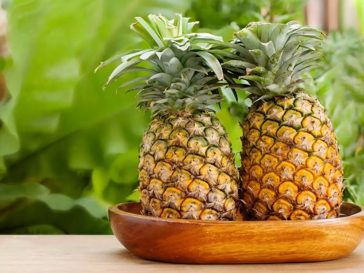 Pineapple की मदद से स्पेन में एक नए प्यार का जन्म हुआ