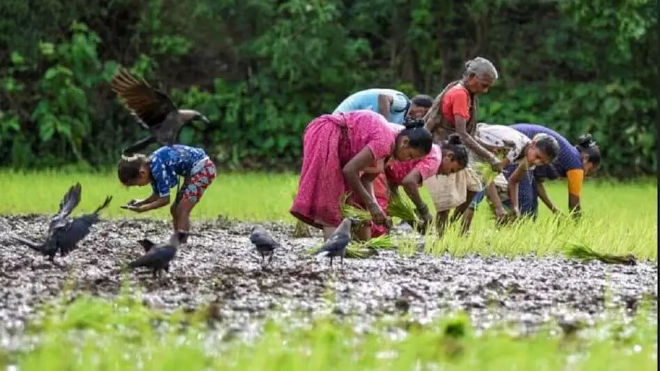 Kerala किसानों को मिलेगा अब आधिकारिक पहचान पत्र