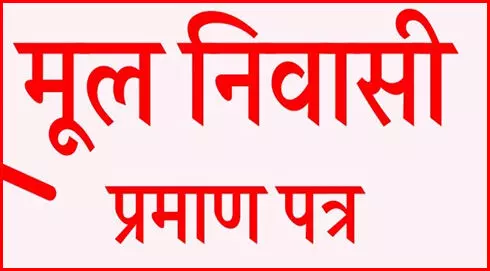 कल स्कूली छात्र-छात्राओं को तुरंत बनाकर सौंपा जाएगा प्रमाण पत्र