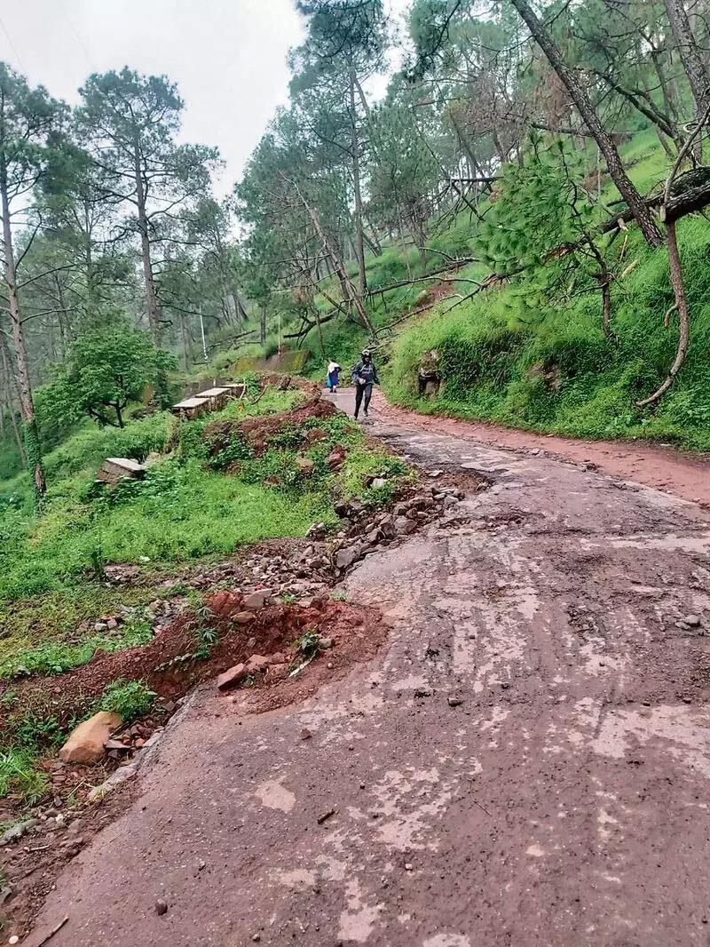 Kumarhatti-डगशाई सड़क क्षतिग्रस्त, वाहनों के चलने लायक नहीं