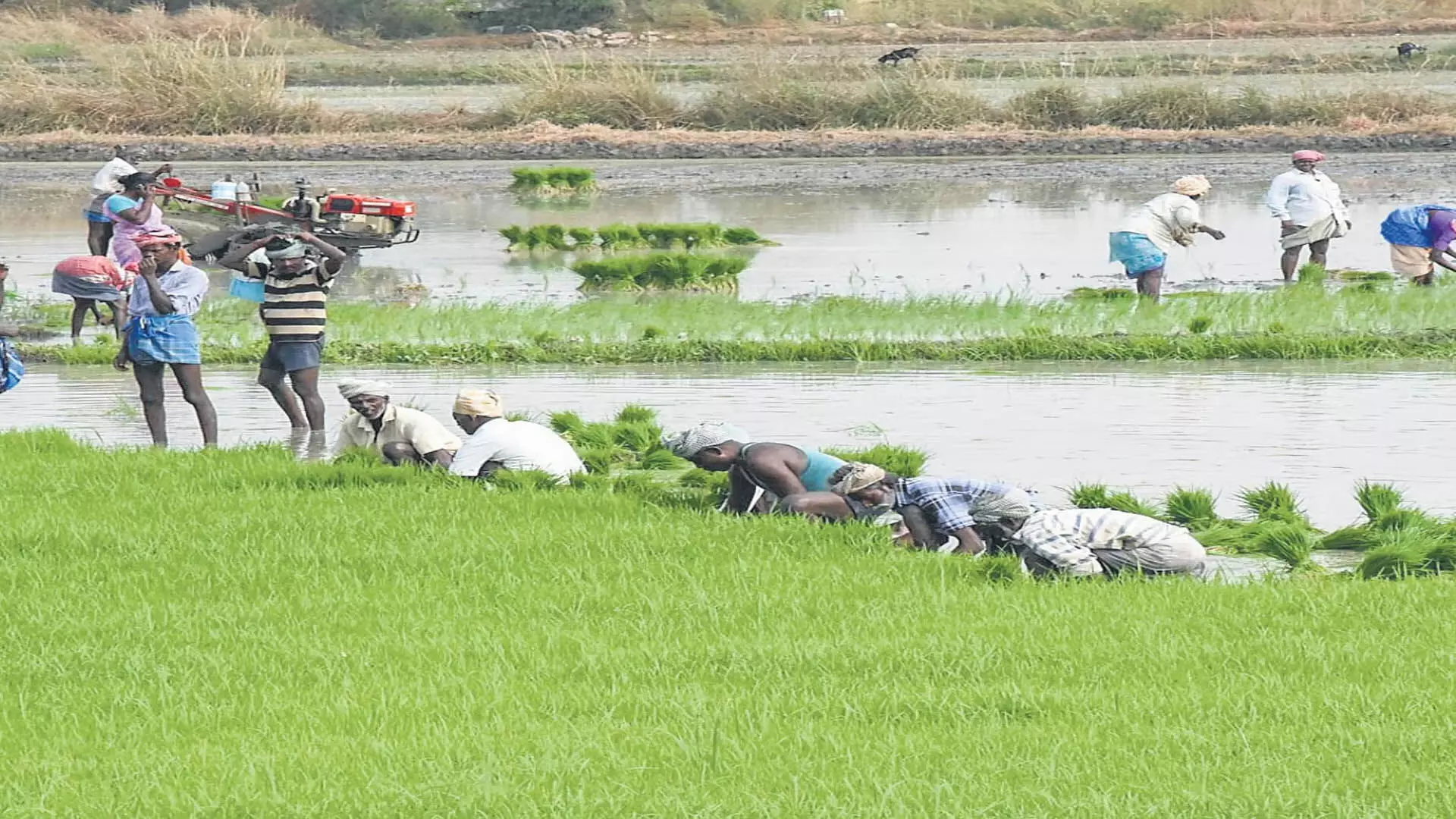 आयकर विभाग ने तमिलनाडु कृषि समितियों के बैंक खाते फ्रीज किए