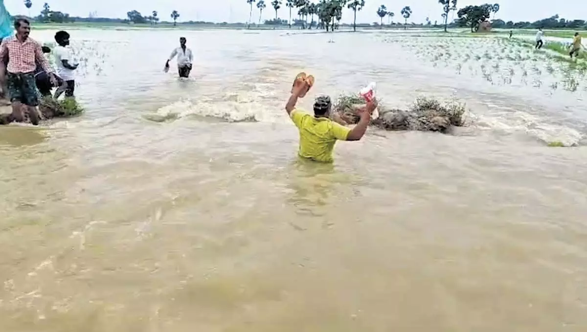 Andhra : येलेरू नहर टूटने से काकीनाडा में बाढ़