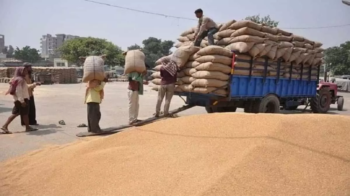 Jaipur: महात्मा ज्योतिबा फुले मंडी श्रमिक कल्याण योजना