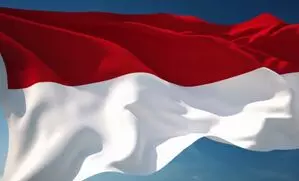 Indonesia इस वर्ष परमाणु संगठन स्थापित करेगा