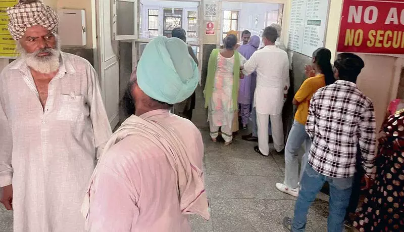 Punjab: डॉक्टरों की 3 घंटे की हड़ताल से मरीज परेशान